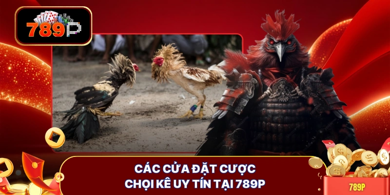 Các cửa đặt cược chọi kê uy tín tại 789P