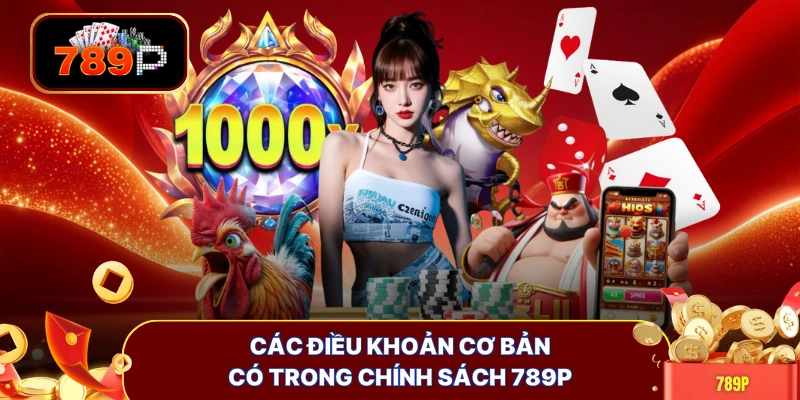 cac dieu khoan co ban co trong chinh sach 789p Các điều khoản cơ bản có trong chính sách 789P