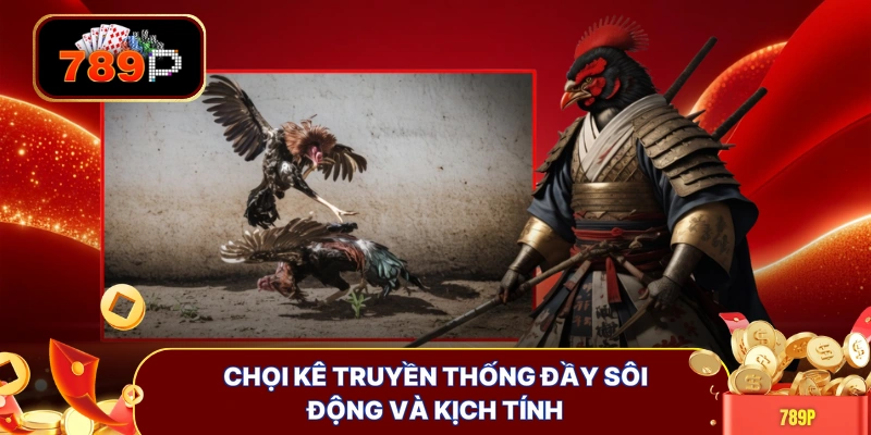 Chọi kê truyền thống đầy sôi động và kịch tính