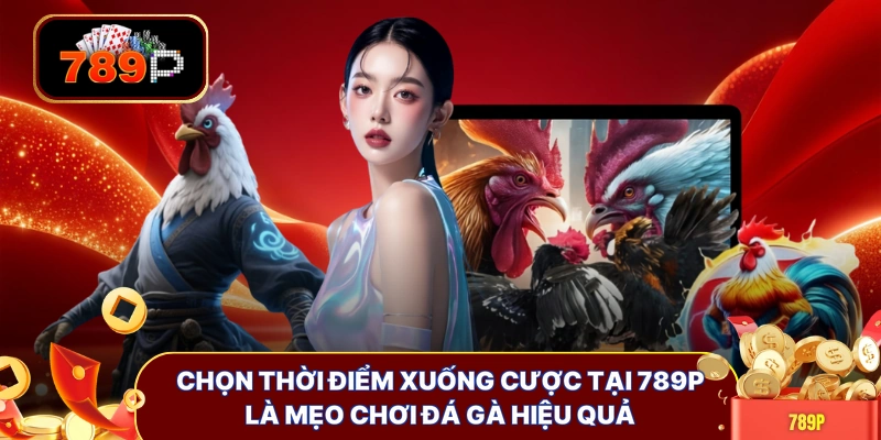 chon thoi diem xuong cuoc tai 789p la meo choi da ga hieu qua Chọn thời điểm xuống cược tại 789P là mẹo chơi đá gà hiệu quả
