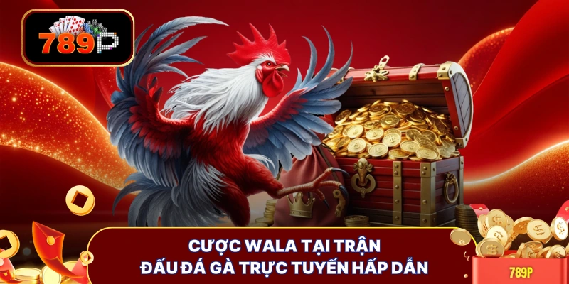 Cược Wala tại trận đấu đá gà trực tuyến hấp dẫn
