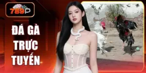 da ga truc tuyen
