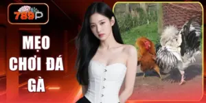 meo choi da ga