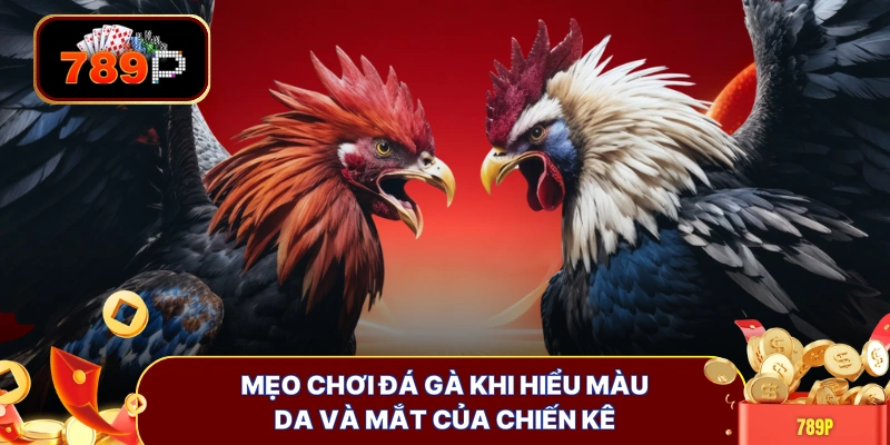 meo choi da ga khi hieu mau da va mat cua chien ke Mẹo chơi đá gà khi hiểu màu da và mắt của chiến kê