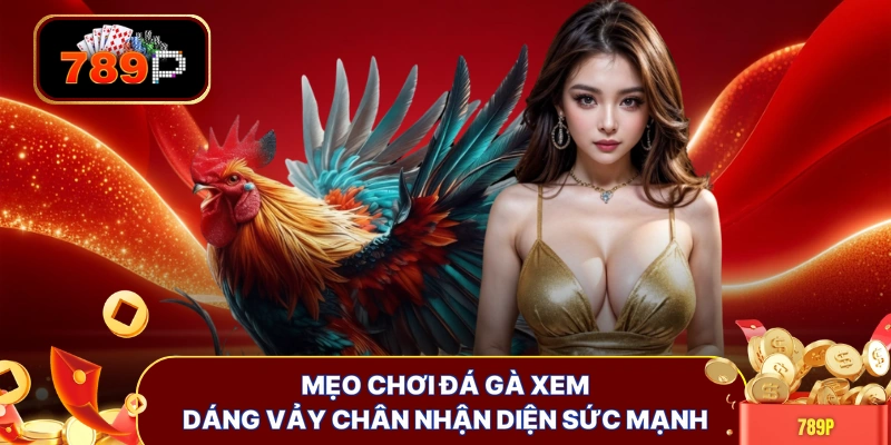 meo choi da ga xem dang vay chan nhan dien suc manh Mẹo chơi đá gà xem dáng vảy chân nhận diện sức mạnh