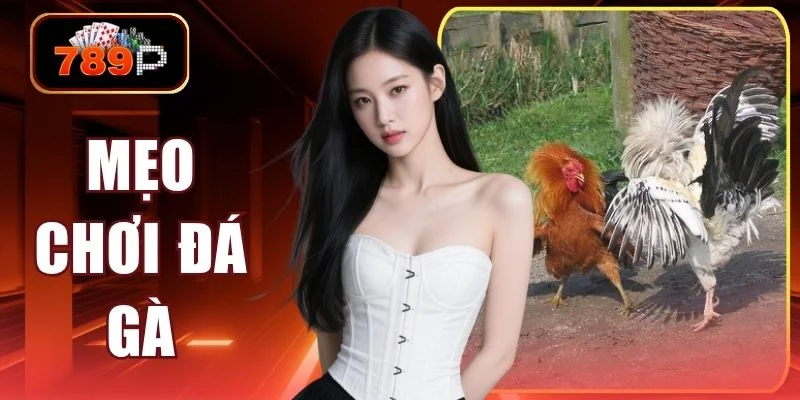 meo choi da ga