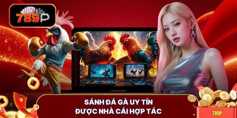 Sánh đá gà uy tín được nhà cái hợp tác