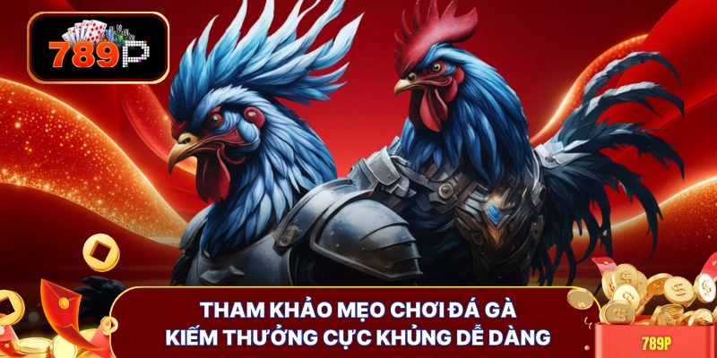 tham khao meo choi da ga kiem thuong cuc khung de dang Tham khảo mẹo chơi đá gà kiếm thưởng cực khủng dễ dàng
